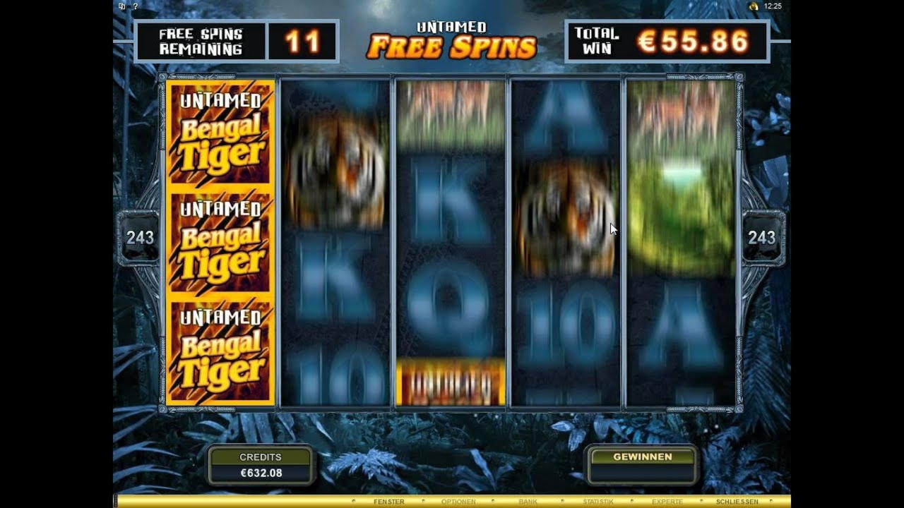 €135 Daily freeroll slot tournament at CasiPlay Casino