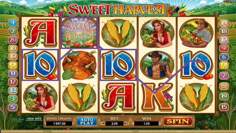 280 Free Spins no deposit at Reload Bet Casino