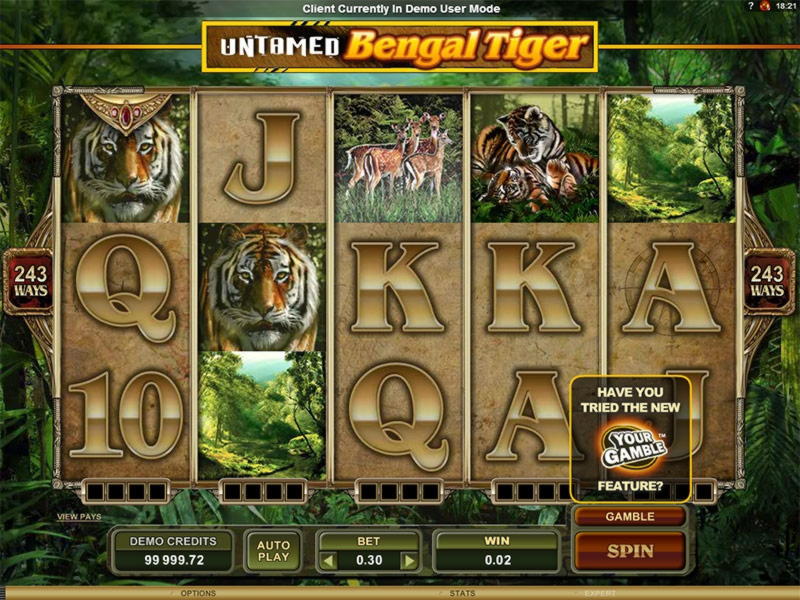 $1355 No Deposit Bonus at LSbet Casino
