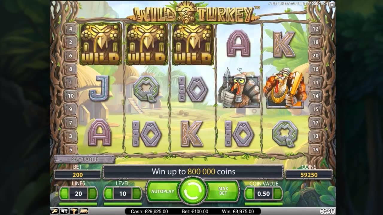 50% Casino match bonus at Zet Casino