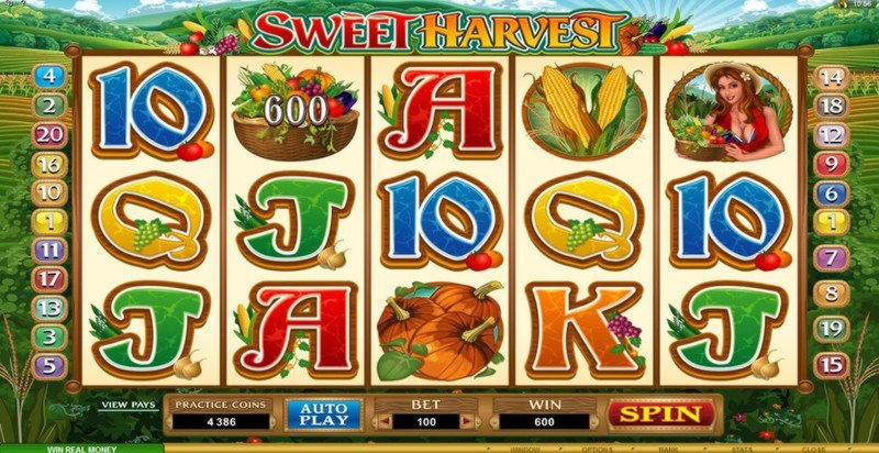 $515 FREE Chip Casino at Reload Bet Casino