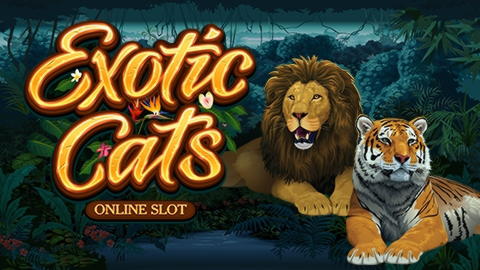 $585 free chip at Boa Boa Casino