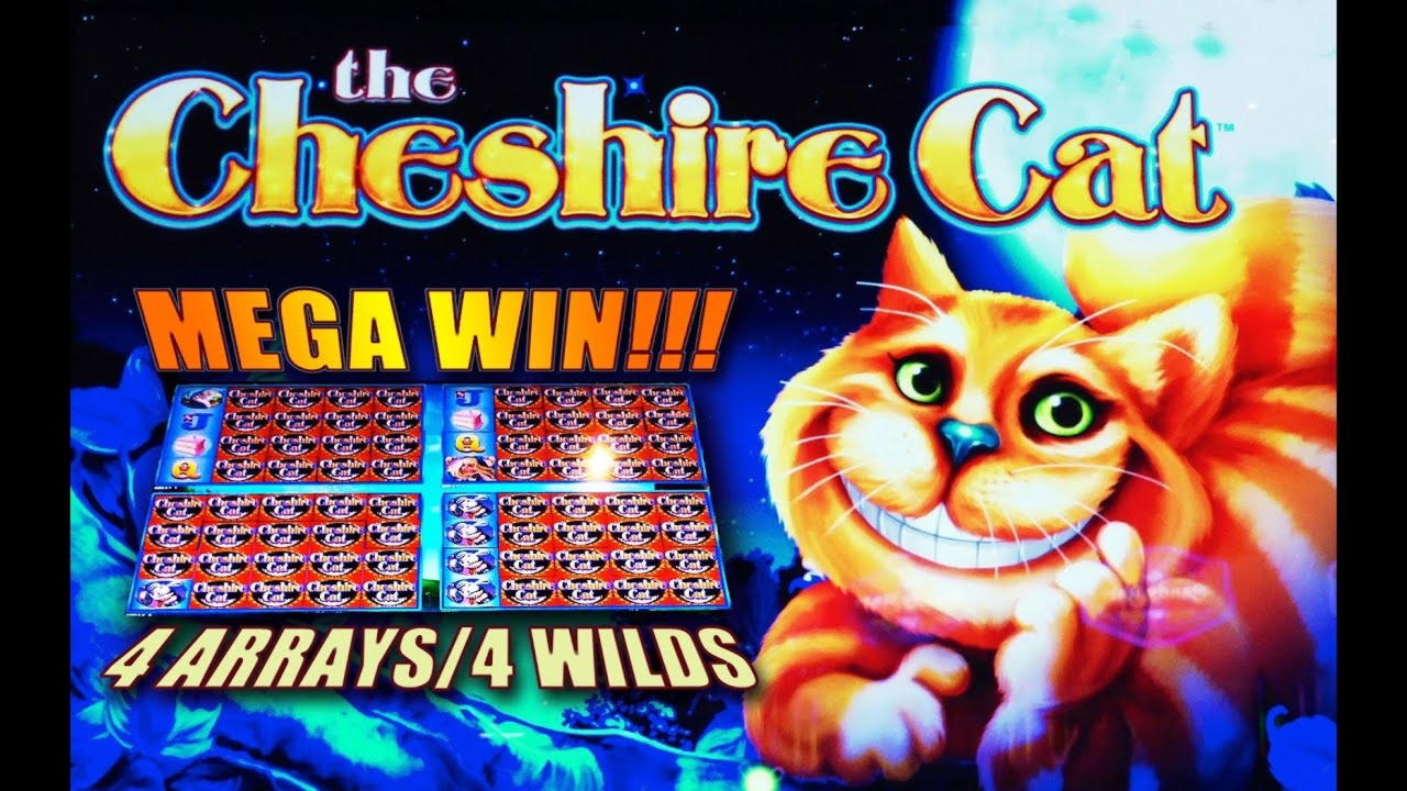 £530 Mobile freeroll slot tournament at Alf Casino