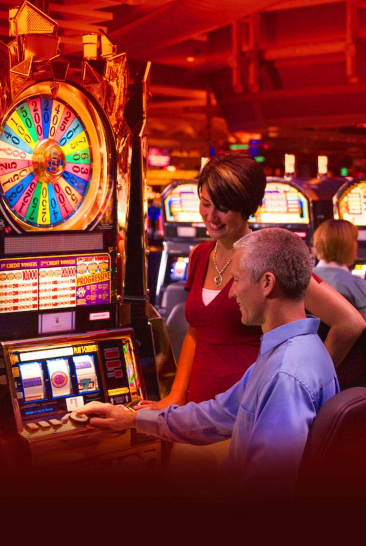 230 free spins casino at Zet Casino