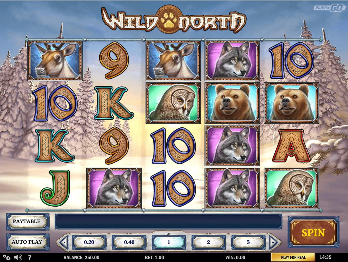 €235 Tournament at Casino com