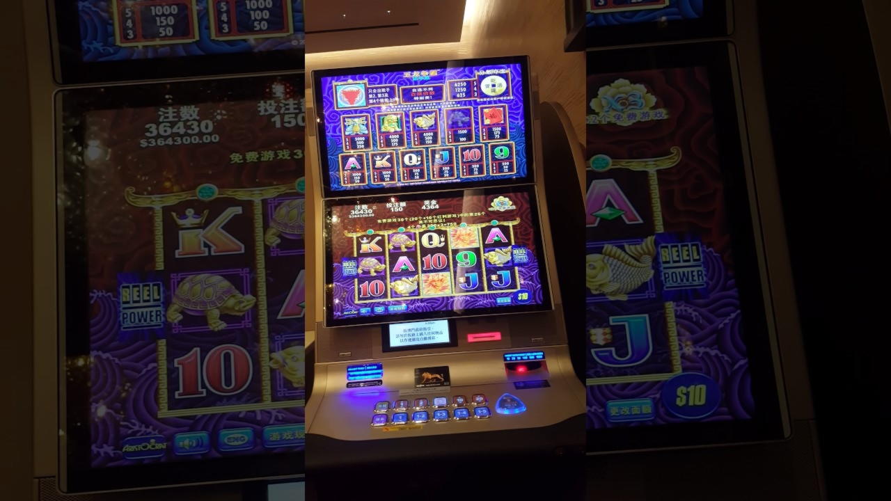 445% Match bonus at YoYo Casino