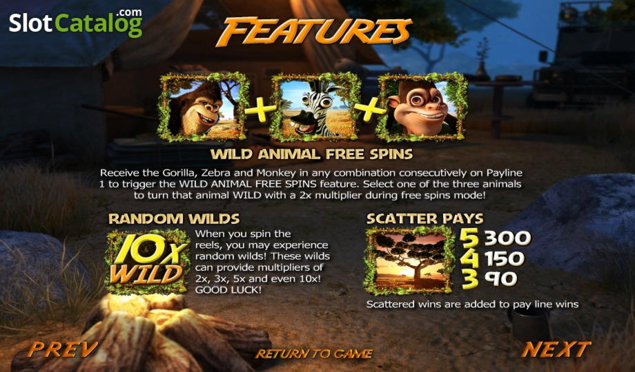 $505 Casino tournaments freeroll at Platin Casino