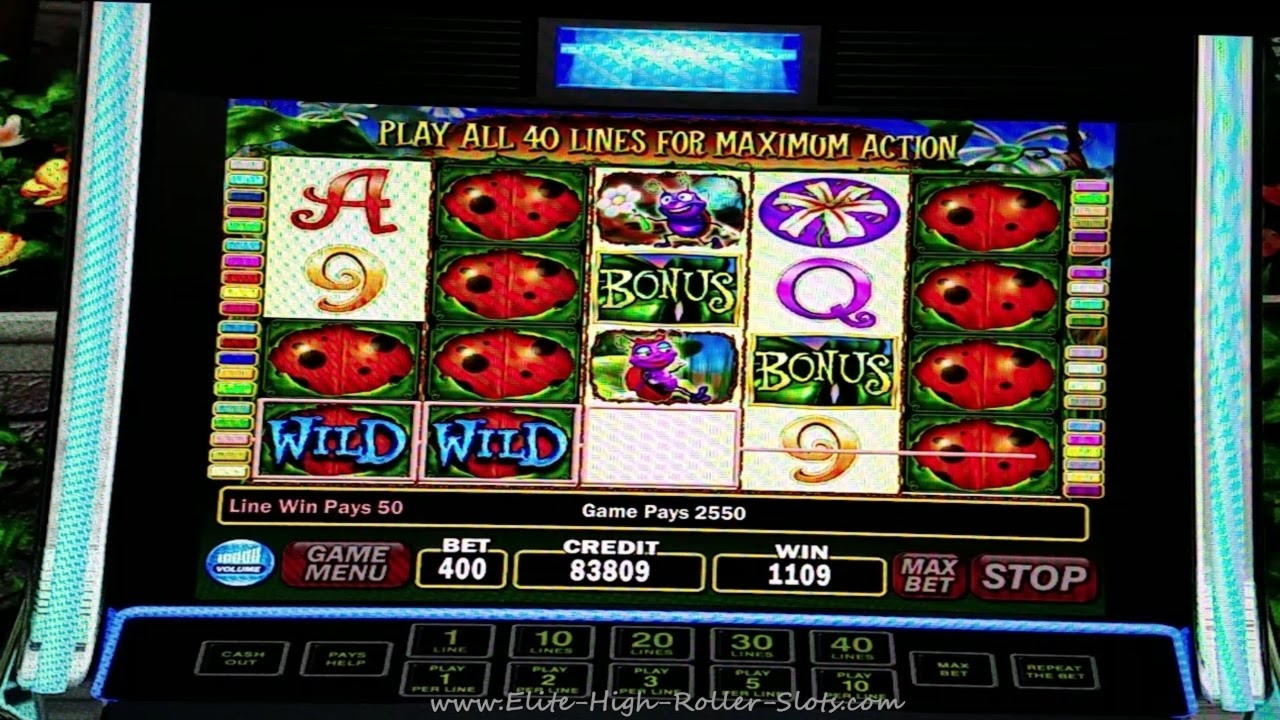 £865 Tournament at Campo Bet Casino