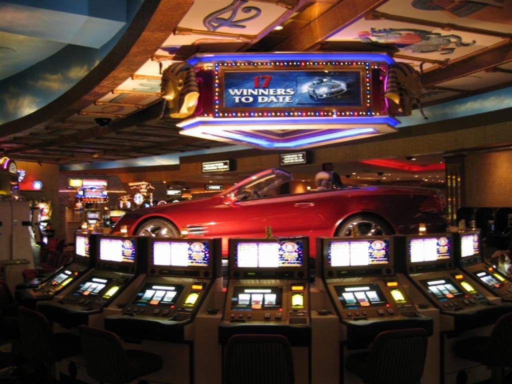 295 free spins no deposit at Malina Casino