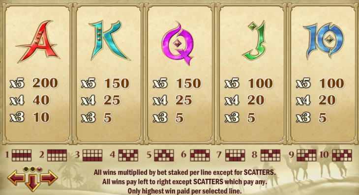 215 Free Spins at Campo Bet Casino