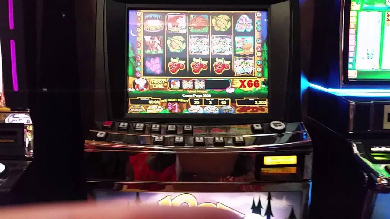 150 Free Spins at Zet Casino