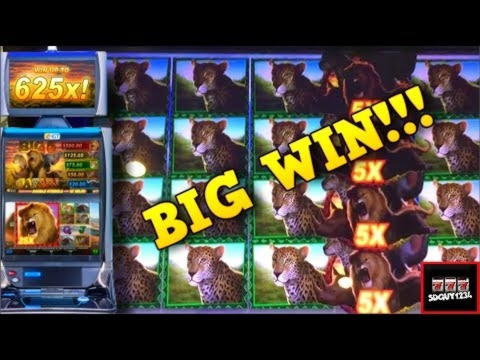 77 Free spins casino at Casinia Casino
