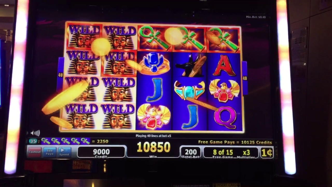 205 Free casino spins at Wild Blaster Casino