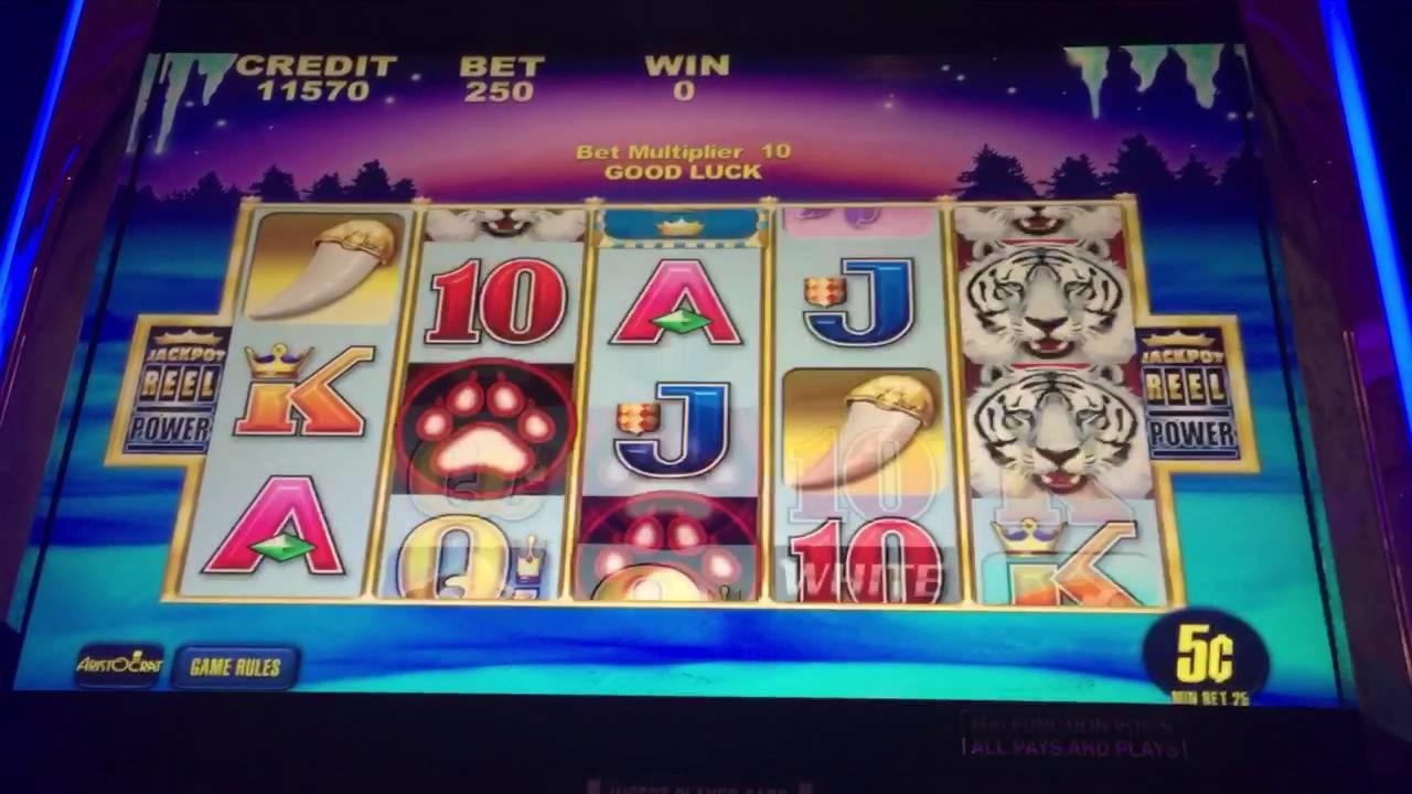 $4880 No Deposit Casino Bonus at Wix Stars Casino
