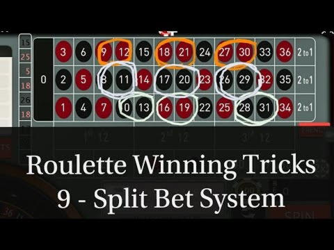 $785 Tournament at Boa Boa Casino