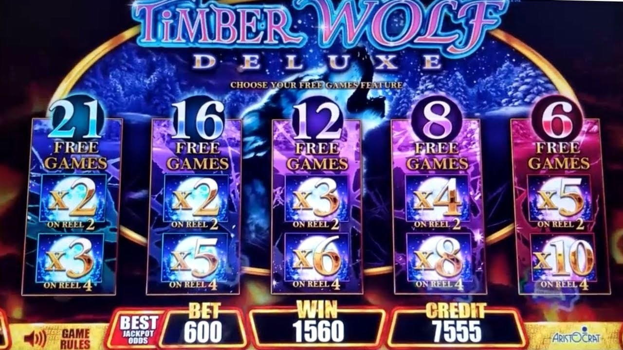 €515 free casino chip at Campo Bet Casino