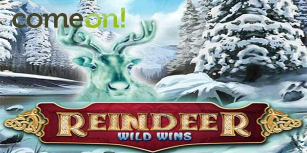 10 Free spins casino at CasiPlay Casino
