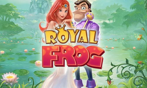 €110 Daily freeroll slot tournament at Campo Bet Casino