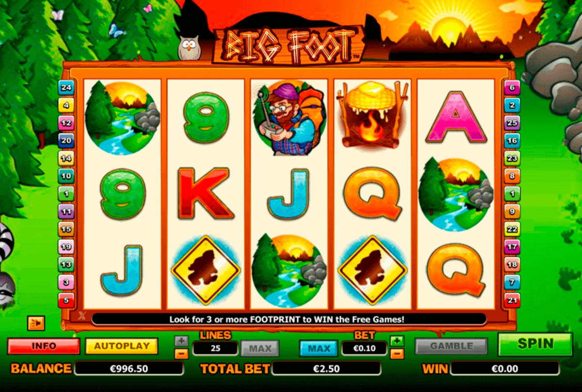 €590 casino chip at Wild Blaster Casino