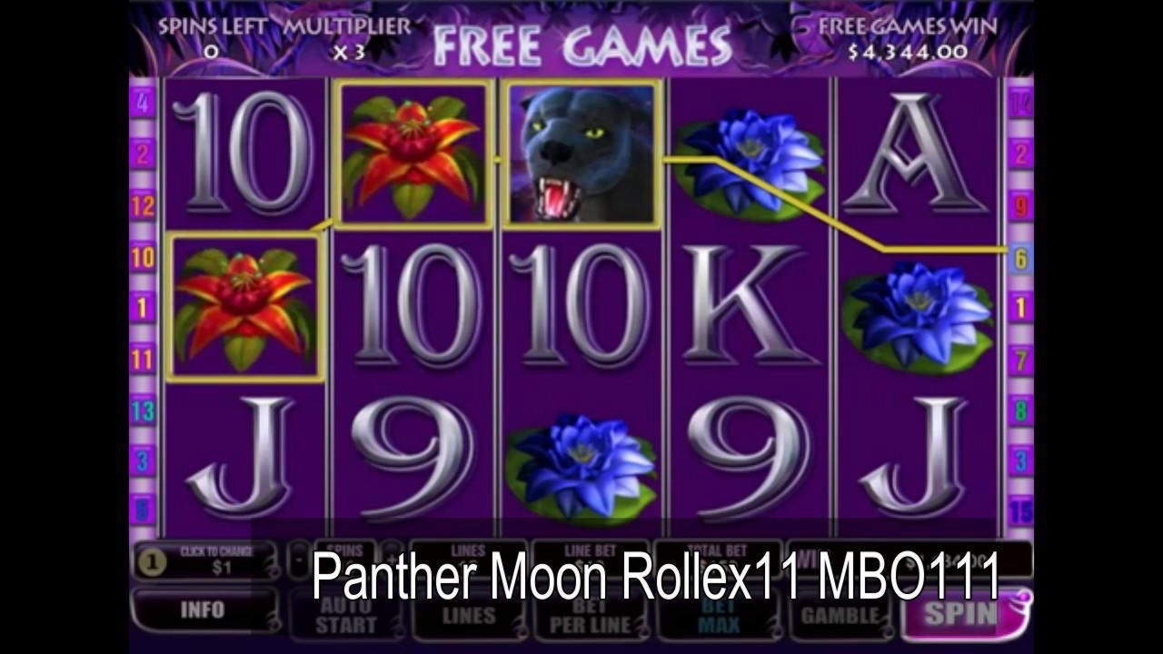 €845 Daily freeroll slot tournament at Slotty Dubai Casino