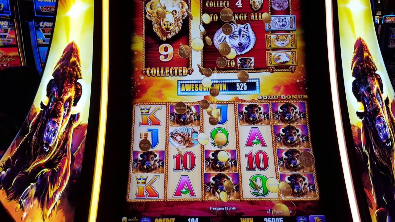 $490 Tournament at Alf Casino