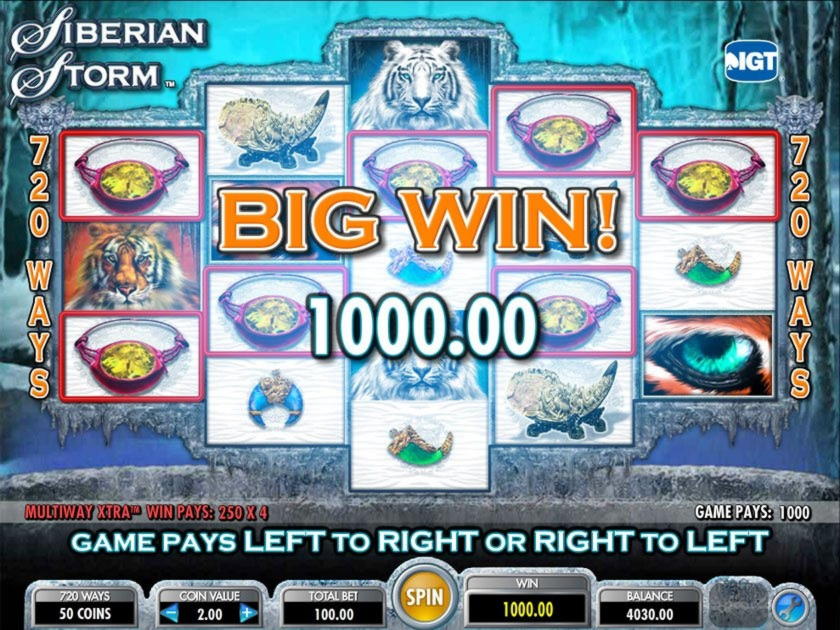 620% Match at a Casino at Malina Casino