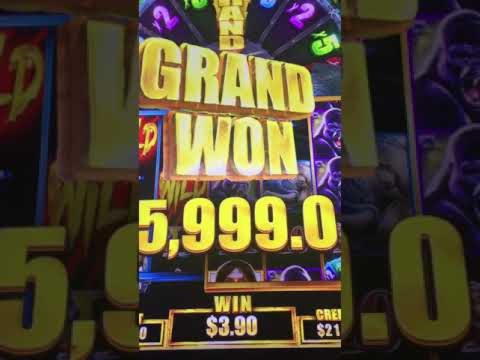 $540 No deposit bonus casino at Alf Casino
