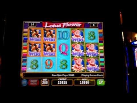$400 Free Casino Tournament at Campo Bet Casino