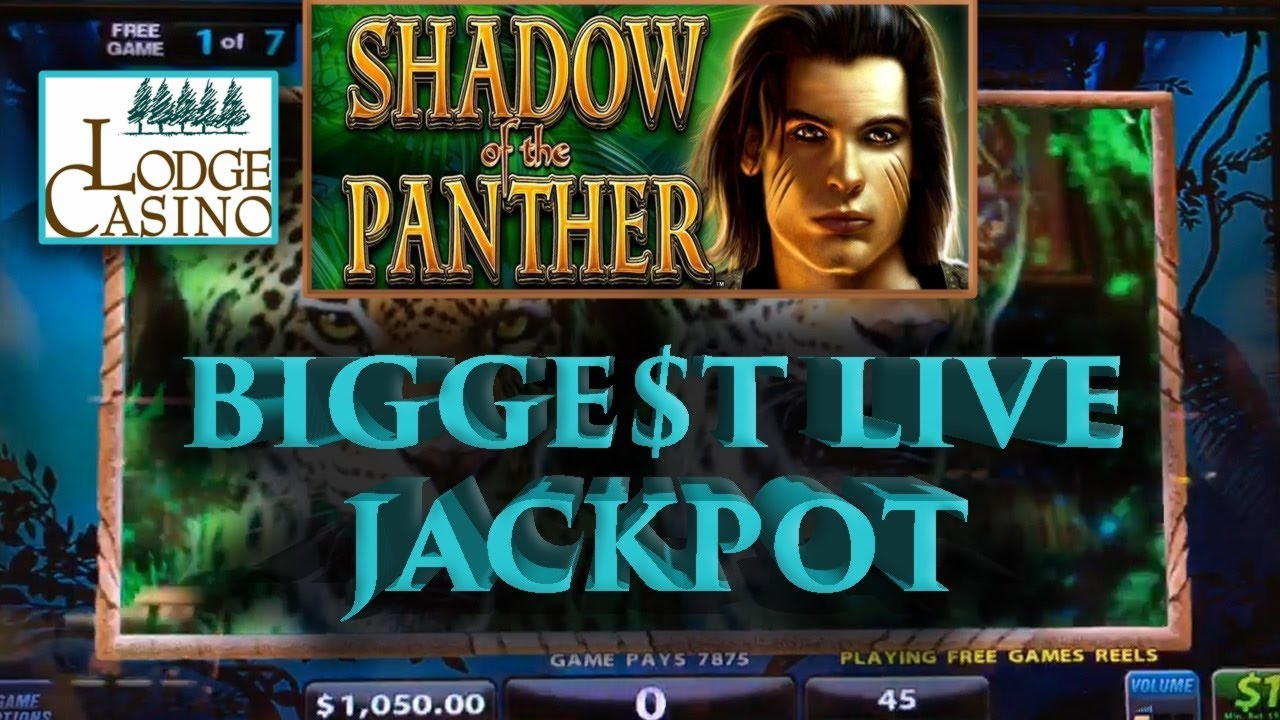33 free casino spins at CasiPlay Casino