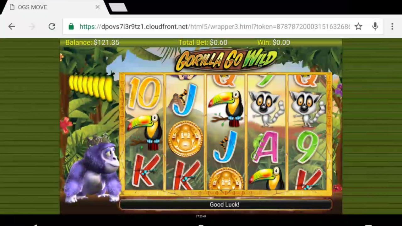EURO 335 Free casino chip at CasiPlay Casino