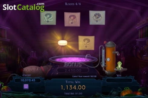 555% Signup Casino Bonus at Wild Blaster Casino