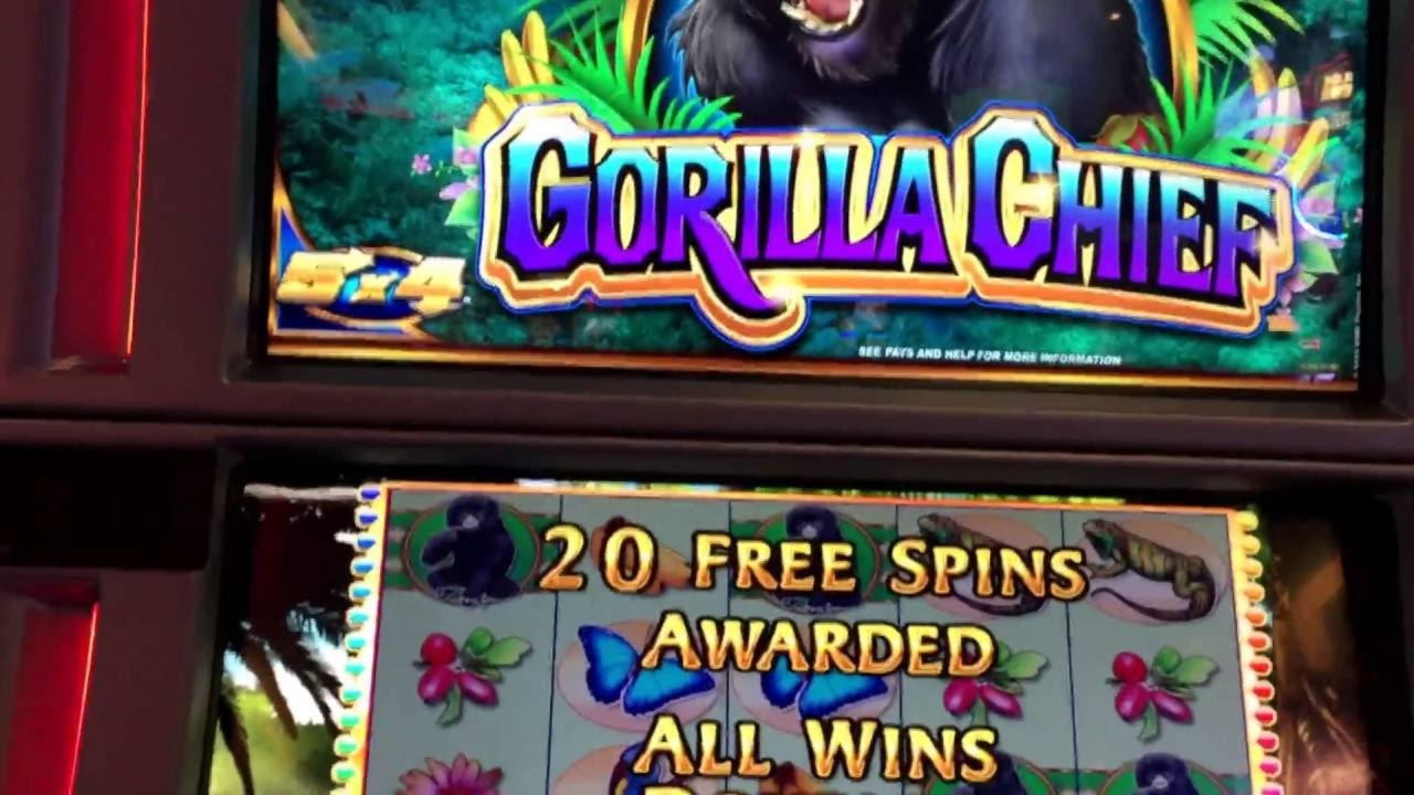 $50 Casino Tournament at Cadoola Casino