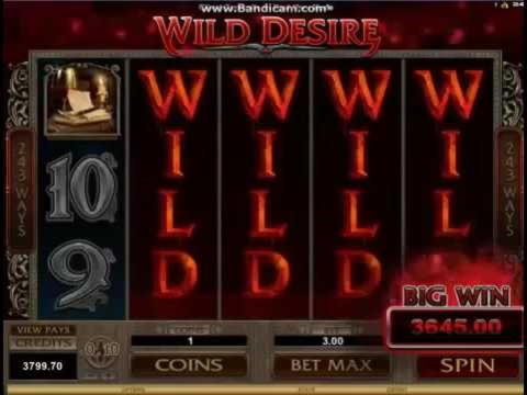210 Free Spins Casino at Campo Bet Casino