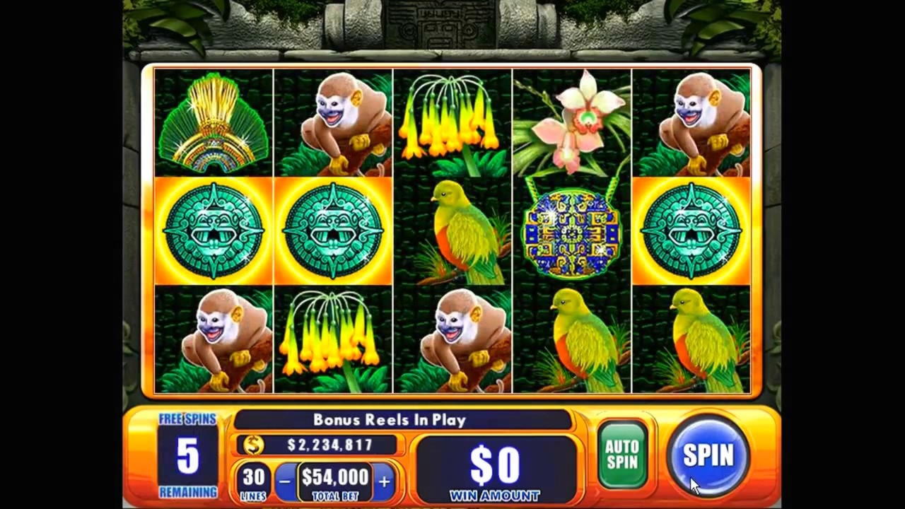 195% First deposit bonus at YoYo Casino