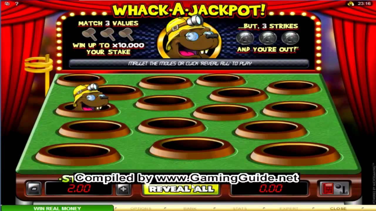 Eur 2280 No deposit casino bonus at Wild Blaster Casino
