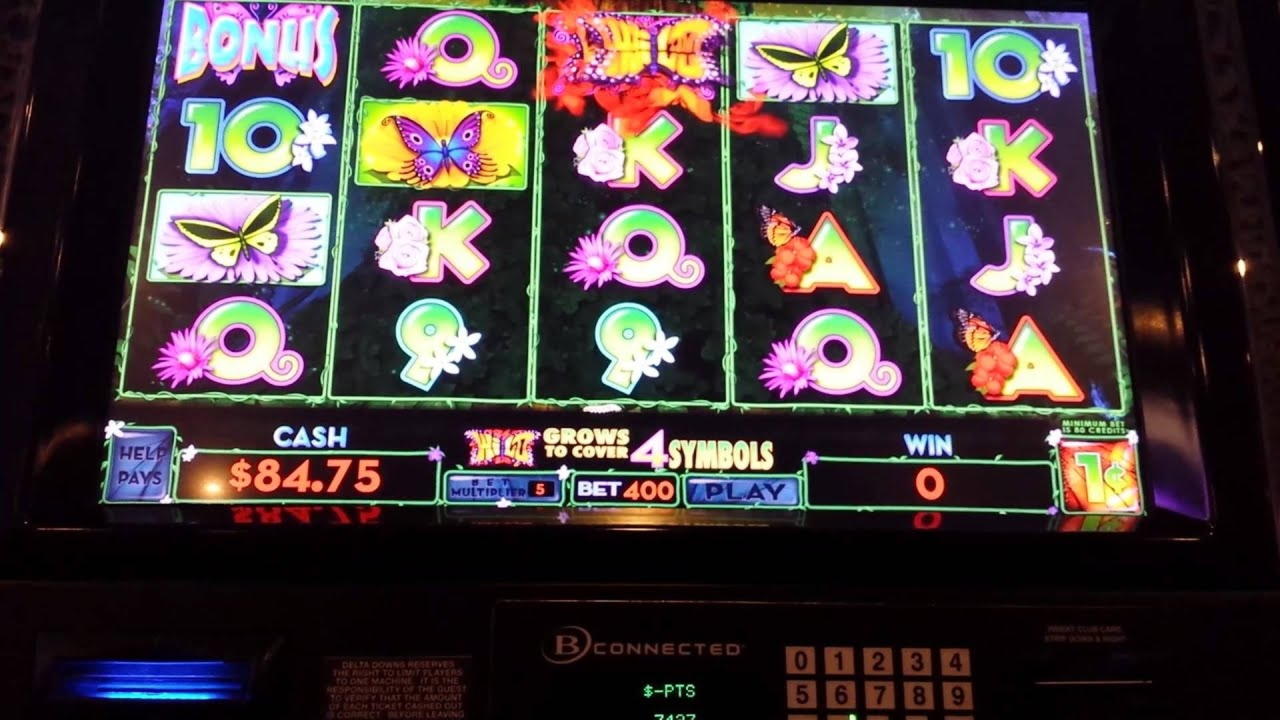 £350 Tournament at Reload Bet Casino