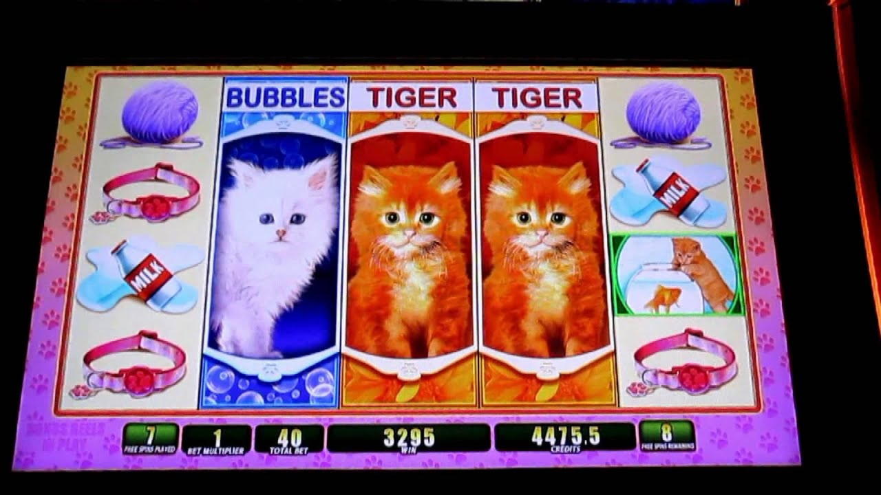 105% Casino Welcome Bonus at Wild Blaster Casino