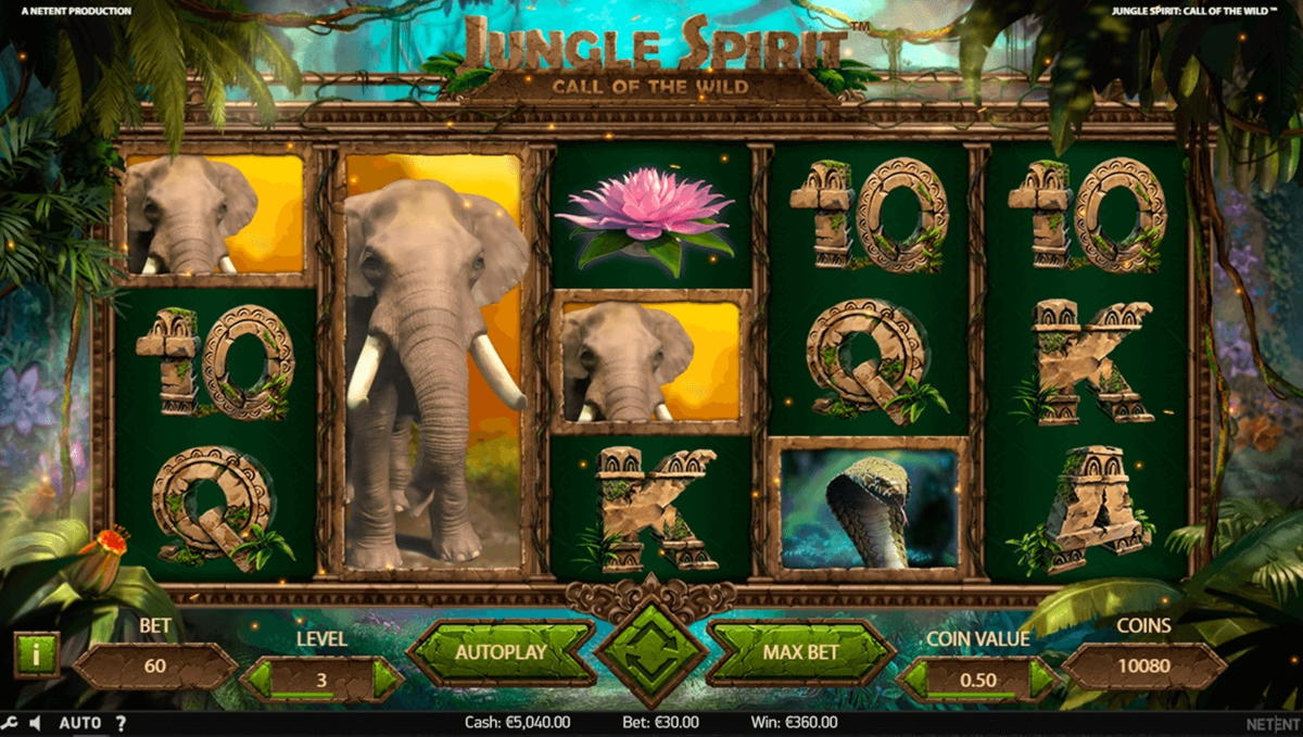 240 FREE Spins at Wix Stars Casino