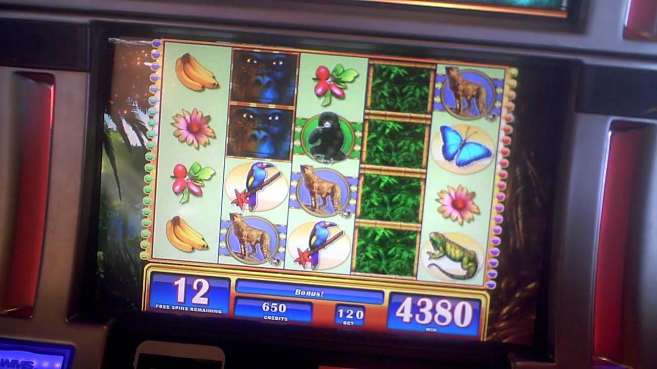 EURO 495 Free Cash at Video Slots Casino