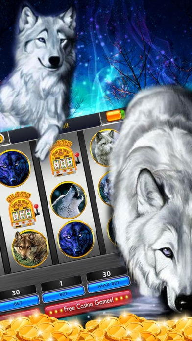 $70 Tournament at Reload Bet Casino