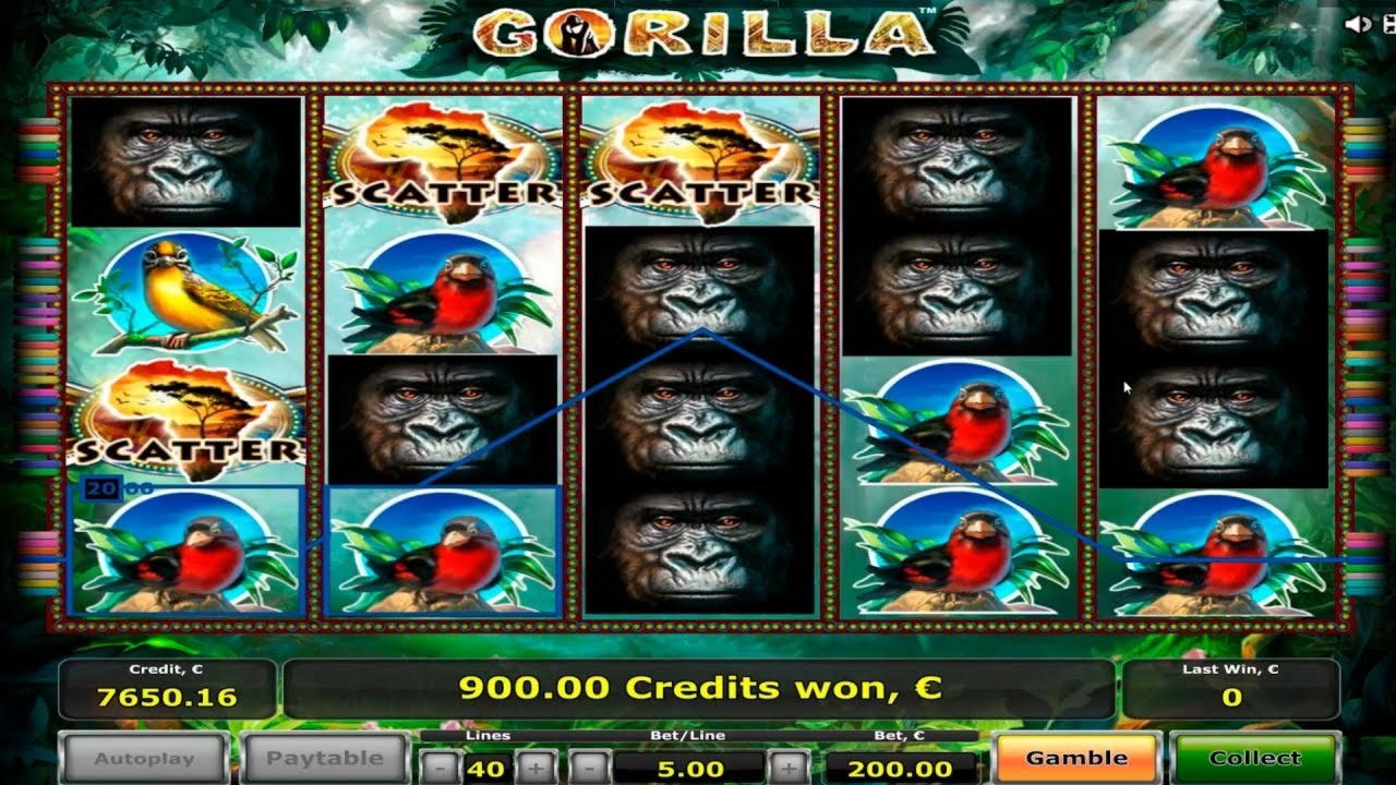 40 free spins no deposit casino at YoYo Casino
