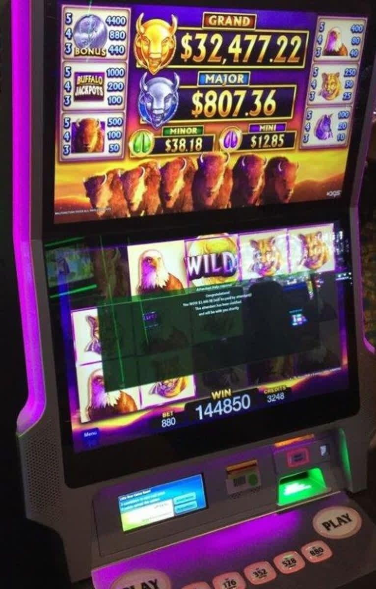 230 free casino spins at Slotty Dubai Casino