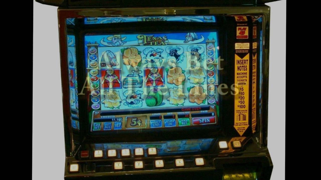 255 Loyalty Free Spins! at Slotty Dubai Casino