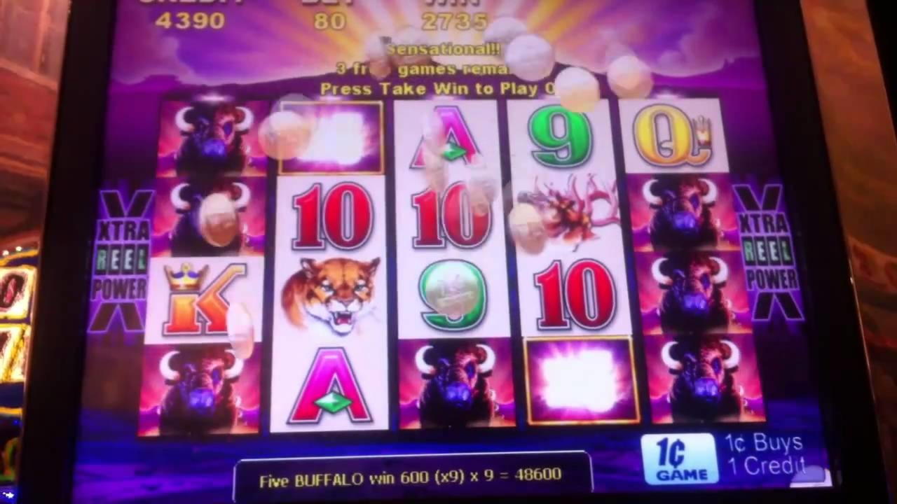 EURO 4330 No deposit bonus casino at Casinia Casino
