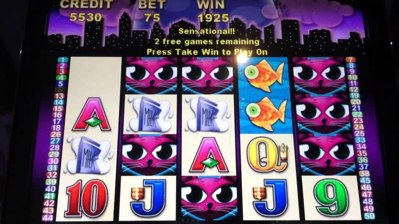 €300 Daily freeroll slot tournament at Malina Casino