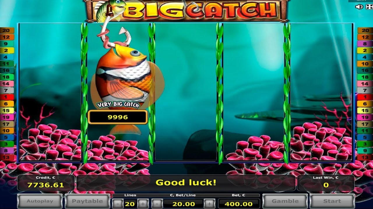 EUR 4390 NO DEPOSIT BONUS CASINO at Slotty Dubai Casino