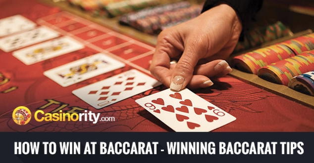 €80 Casino Tournament at Malina Casino