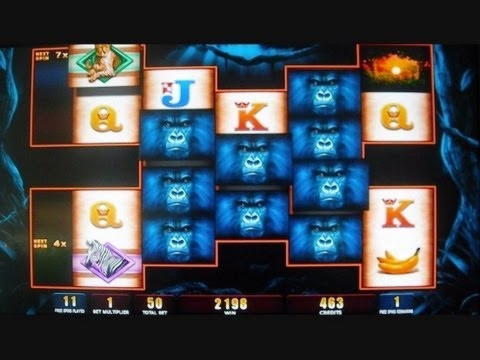 Eur 1190 No Deposit at Cadoola Casino