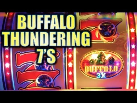 720% No Rules Bonus! at Campo Bet Casino