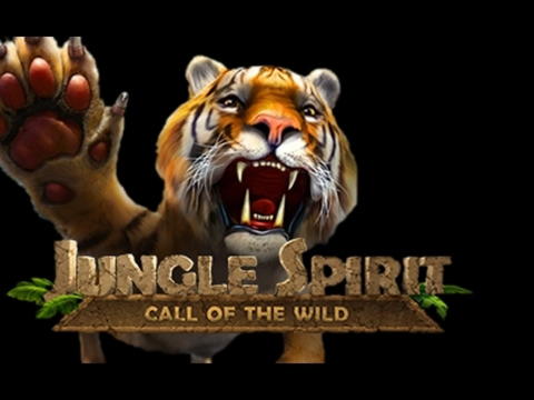 795% Casino match bonus at Alf Casino